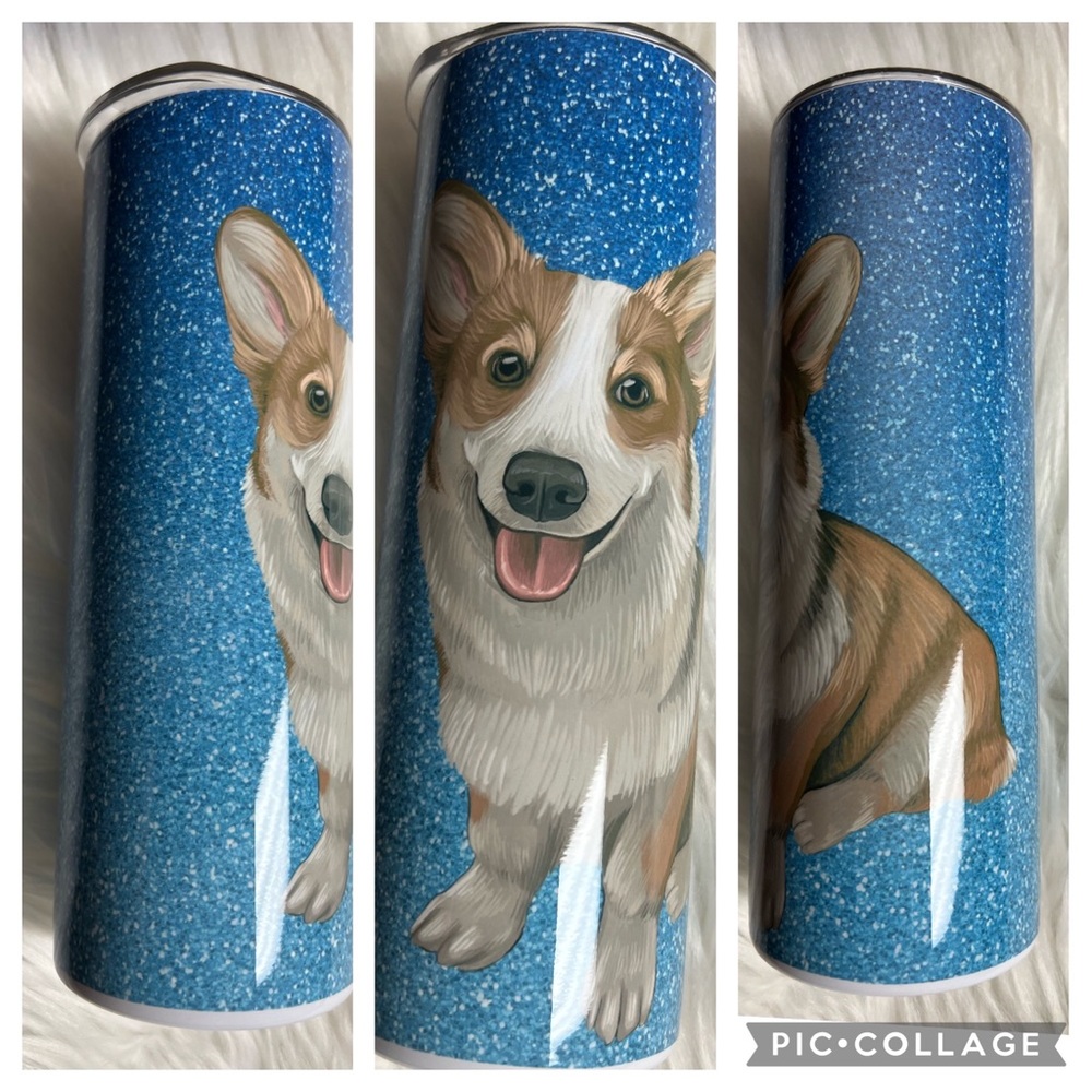 Brand new corgi Tumblr